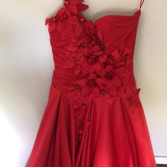 Prom dress - Picture 6 of 7